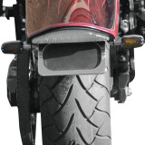 Baron Custom Accessories License Mount With LED Frame