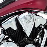 Show Chrome Air Cleaner Cover - Free Spirit