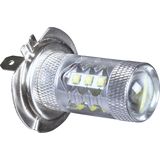 Cree LED Bulb