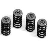 Barnett Ducati Dry Clutch Spring Kit