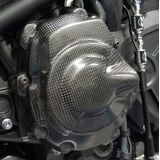 Graves Carbon Fiber Engine Guard Case Cover Set