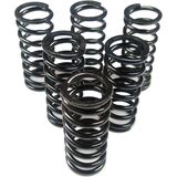 Graves WORKS Clutch Springs