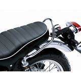 Genuine Kawasaki Accessories Passenger Grab Bar