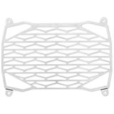 Genuine Kawasaki Accessories Radiator Trim