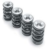 HOTCAMS Valve Spring Kit