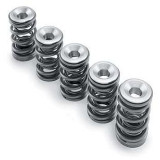 HOTCAMS Valve Spring Kit