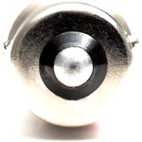 Kuryakyn High Intensity LED Bulb For Tail Lights Or Turn Signals