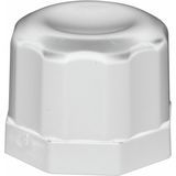 LC Filler Hose Screw Cap