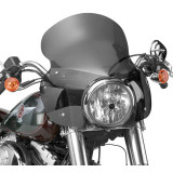 National Cycle Wave Quick-Release Fairing With Mount Kit