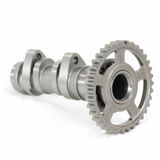 Pro Circuit Camshaft