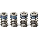 Pro Circuit Valve Springs