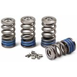 Pro Circuit Complete Valve Spring Kit