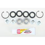 Pivot Works Trailing Arm Bearing Kit