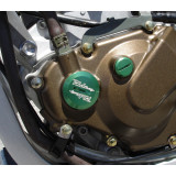 Ride Engineering Timing Plugs