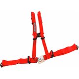 4-Point Harness