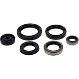 Vertex Oil Seal Kit