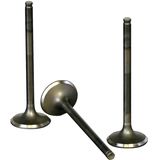 Stainless Steel Exhaust Valve