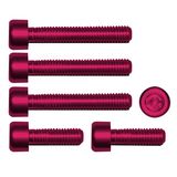 Yana Shiki Gas Cap Screw Kit