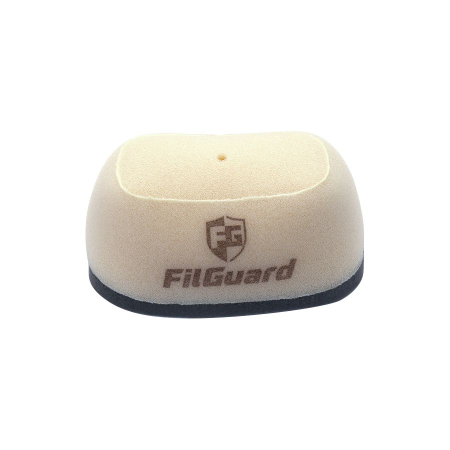 FilGuard Premium Dual Stage Air Filter