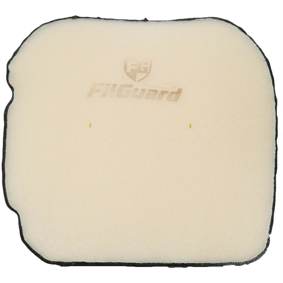 FilGuard Premium Dual Stage Air Filter