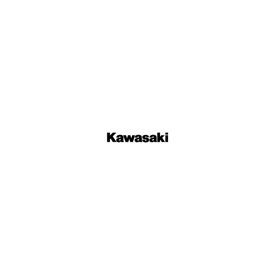 Factory Effex Universal Fork/Swingarm Stickers - Kawasaki