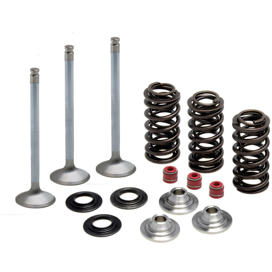 Kibblewhite Stainless Steel Intake Valve Kit