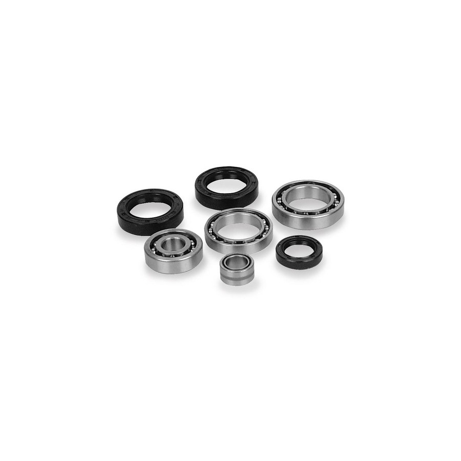 Moose Rear Differential Bearing And Seal Kit