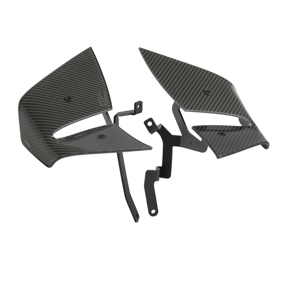 Puig D12 Spoilers - Carbon Look, Side