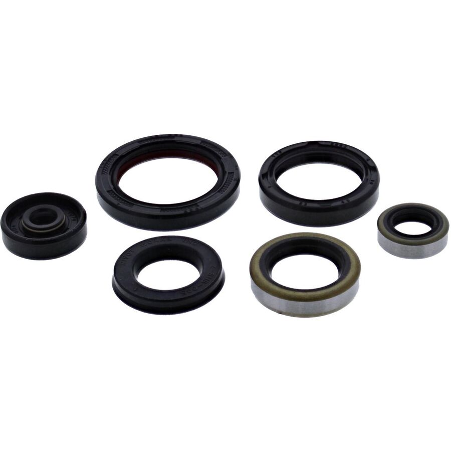 Vertex Oil Seal Kit