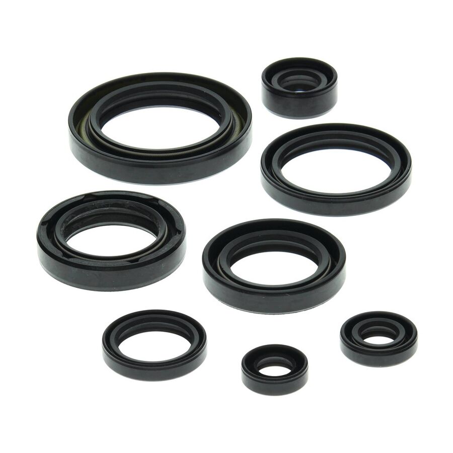 Vertex Oil Seal Kit