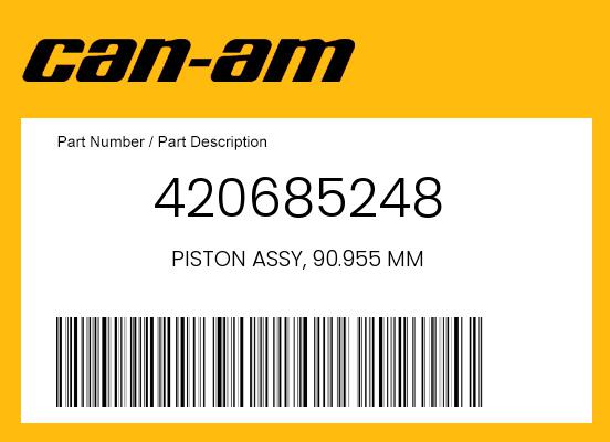 0 OEM Part 420685248