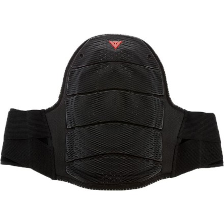 Dainese Shield Air Back Protector