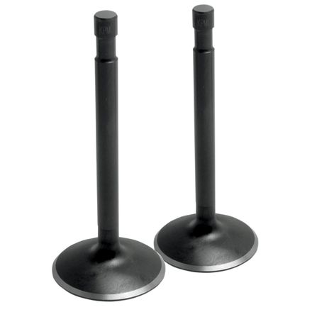 Dragonfire Racing Exhaust Valve Set Dragonfire Racing Exhaust Valve Set