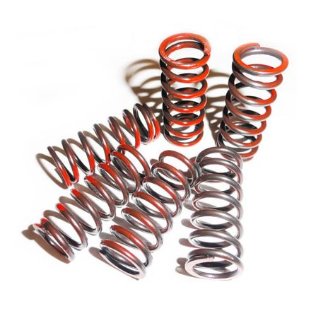 Graves YEC Clutch Springs Graves YEC Clutch Springs