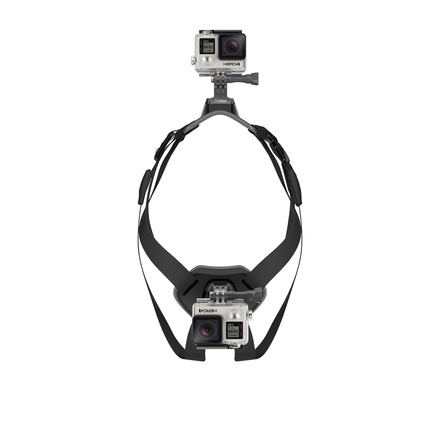 GoPro Fetch Dog Harness