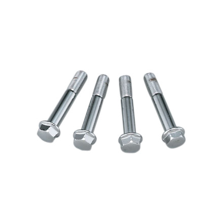 Honda Genuine Accessories Saddlebag Bolt Set