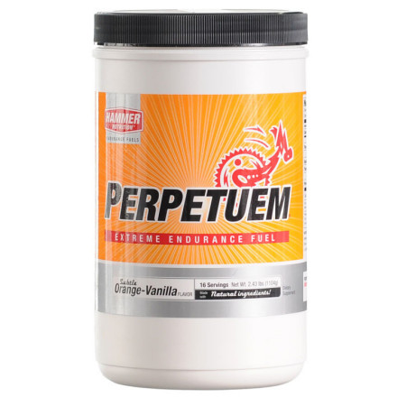 Hammer Nutrition Perpetuem Endurance Fuel