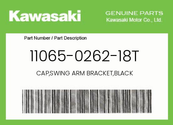 0 OEM Part 11065-0262-18T