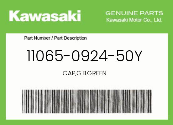 0 Kawasaki OEM Part 11065-0924-50Y