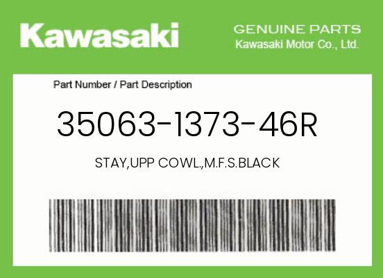 0 Kawasaki OEM Part 35063-1373-46R