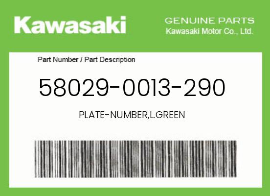 0 Kawasaki OEM Part 58029-0013-290