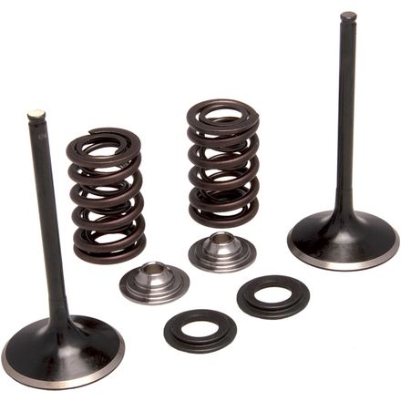 Kibblewhite Stainless Steel Intake Valve Kit