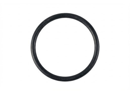 O-RING 25,00X2,00 NBR 70 undefined