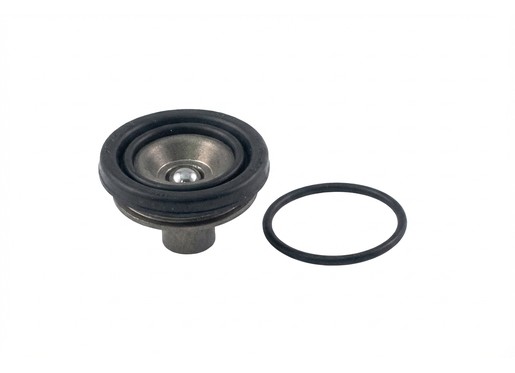 OEM Clutch Slave Cylinder Piston for KTM 450 SX-F/450 XC-F/500 EXC-F, Husqvarna FC 450/FX 450/FR 450 RALLY & GasGas EX 450F/RX 450F REPLICA - 54832066000 undefined