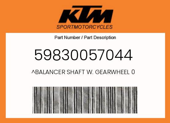 ^BALANCER SHAFT W. GEARWHEEL 0 undefined