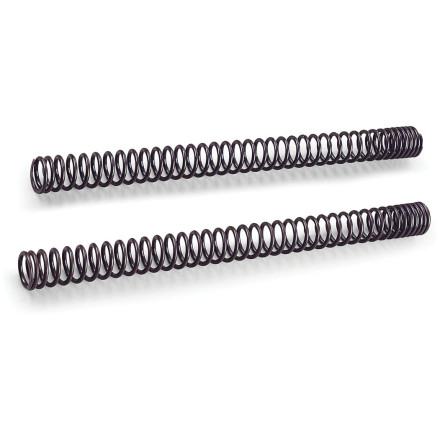 Progressive Fork Spring Kit