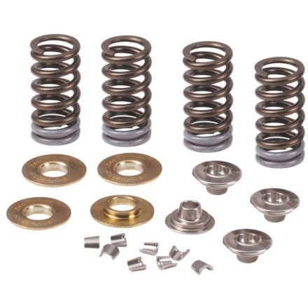 Pro Circuit Valve Spring Kit