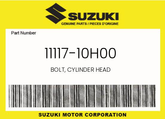 0 OEM Part 11117-10H00
