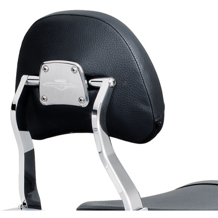 SUZ TOURING PASSENGER BACKREST SUZ TOURING PASSENGER BACKREST