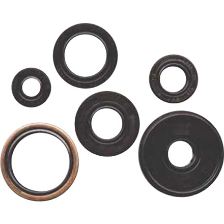 Winderosa Engine Oil Seal Kit